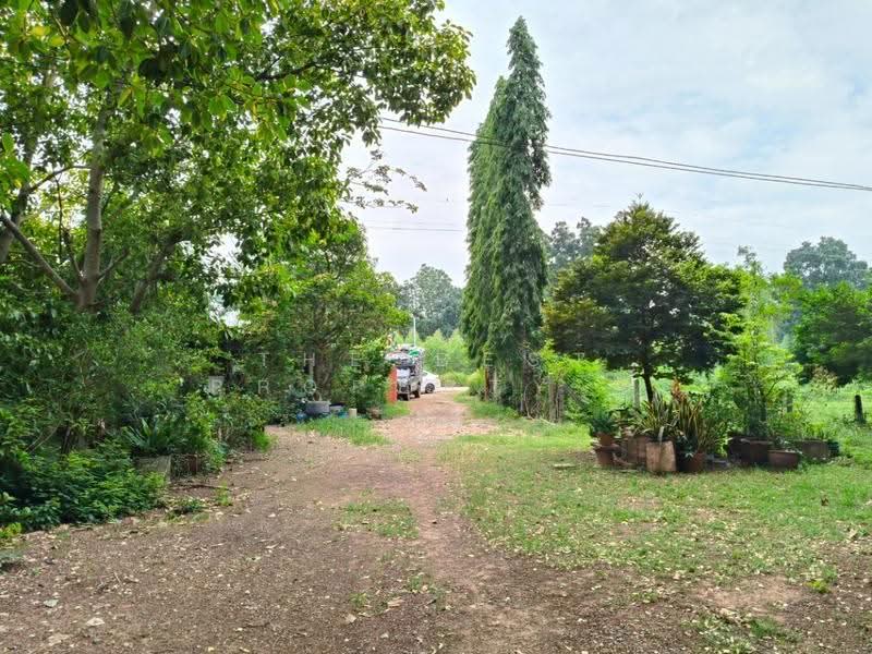 ที่ดินพร้อมสิ่งปลูกสร้างวัฒนานคร สระแก้ว, sa-kaeo, Non Mak Keng, Watthana Nakhon, Sa Kaeo, , 44,152 sqm, Land For Sale, by The Best Property ยุ, 500549140 - DDproperty.com
