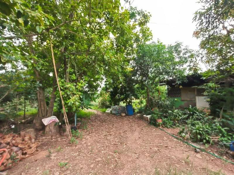 ที่ดินพร้อมสิ่งปลูกสร้างวัฒนานคร สระแก้ว, sa-kaeo, Non Mak Keng, Watthana Nakhon, Sa Kaeo, , 44,152 sqm, Land For Sale, by The Best Property ยุ, 500549140 - DDproperty.com