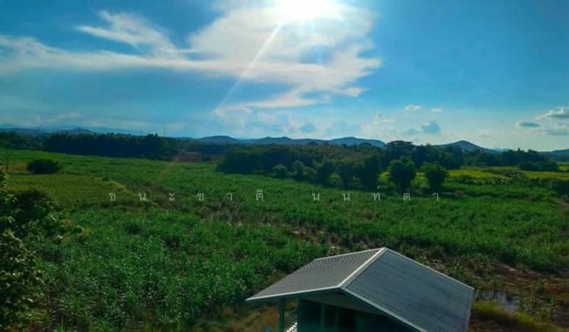 ใกล้คริสตจักรพระกิตติคุณสมบูรณ์เมืองเลย, Loei, Muang, Muang Loei, Loei, , 72,128 sqm, Land For Sale, by ชนะชาติ นนท์ตา, 500549150 - DDproperty.com