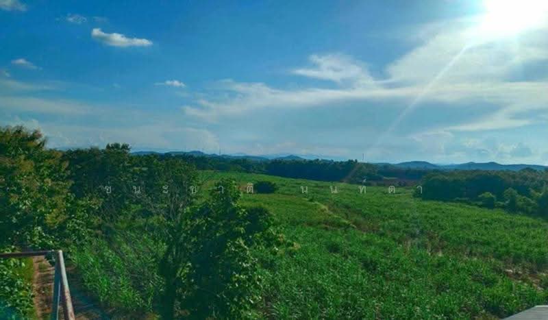 ใกล้คริสตจักรพระกิตติคุณสมบูรณ์เมืองเลย, Loei, Muang, Muang Loei, Loei, , 72,128 sqm, Land For Sale, by ชนะชาติ นนท์ตา, 500549150 - DDproperty.com