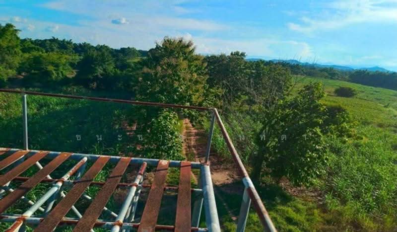 ใกล้คริสตจักรพระกิตติคุณสมบูรณ์เมืองเลย, Loei, Muang, Muang Loei, Loei, , 72,128 sqm, Land For Sale, by ชนะชาติ นนท์ตา, 500549150 - DDproperty.com