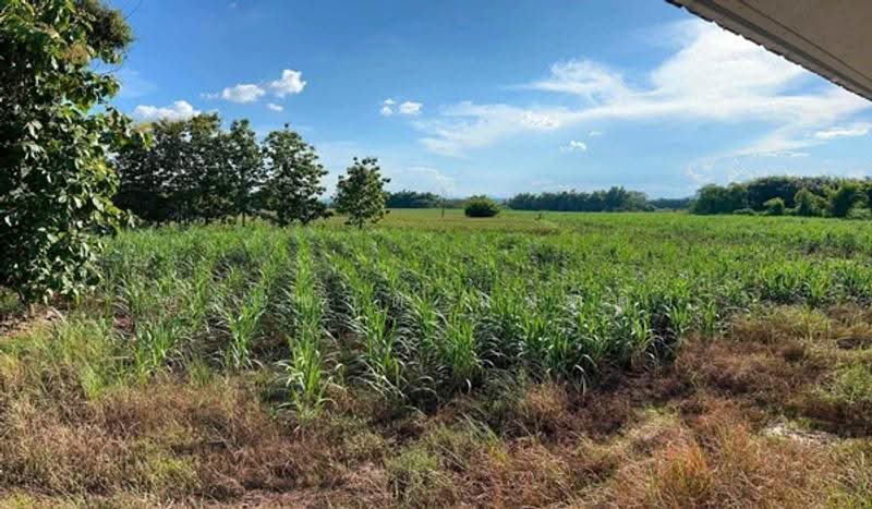 ใกล้คริสตจักรพระกิตติคุณสมบูรณ์เมืองเลย, Loei, Muang, Muang Loei, Loei, , 72,128 sqm, Land For Sale, by ชนะชาติ นนท์ตา, 500549150 - DDproperty.com