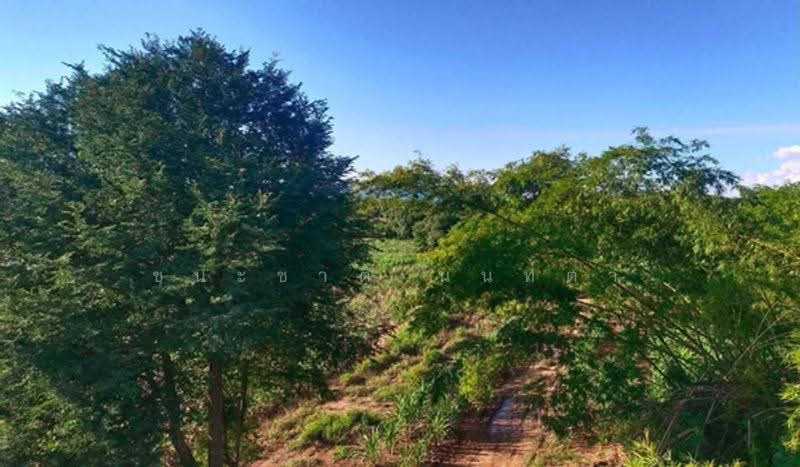 ใกล้คริสตจักรพระกิตติคุณสมบูรณ์เมืองเลย, Loei, Muang, Muang Loei, Loei, , 72,128 sqm, Land For Sale, by ชนะชาติ นนท์ตา, 500549150 - DDproperty.com