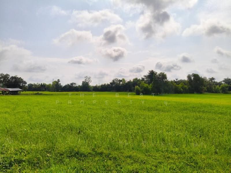 ที่ดินธวัชบุรี ร้อยเอ็ด, ร้อยเอ็ด, อุ่มเม้า, ธวัชบุรี, ร้อยเอ็ด, 7,840 ตร.ม., ที่ดิน ขาย, โดย The Best Property ยุ, 500549162 - DDproperty.com