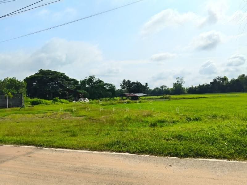 ที่ดินธวัชบุรี ร้อยเอ็ด, Roi Et, Um-Mao, Thawat Buri, Roi Et, , 7,840 sqm, Land For Sale, by The Best Property ยุ, 500549162 - DDproperty.com