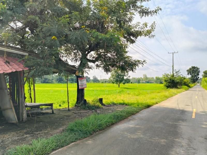 ที่ดินธวัชบุรี ร้อยเอ็ด, Roi Et, Um-Mao, Thawat Buri, Roi Et, , 7,840 sqm, Land For Sale, by The Best Property ยุ, 500549162 - DDproperty.com
