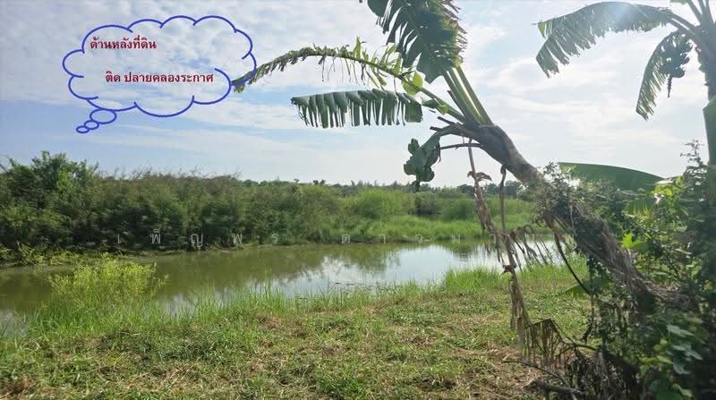 ขายที่ดิน 101.1 ตร.ว. หน้าติดถนนสาธารณะ - หลังติดน้ำ (ปลายคลองระกาศ) ซ.พรหมมา บางบ่อ สมุทรปราการ, Samut Prakan, Ban Rakat, Bang Bo, Samut Prakan, , 404 sqm, Land For Sale, by เพ็ญพร ดาวมานพ, 500549172 - DDproperty.com
