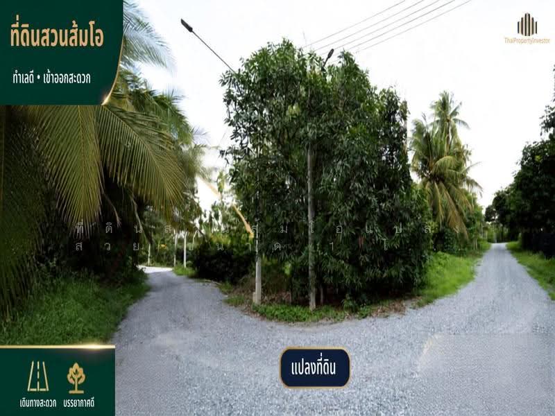 ที่ดินสวนส้มโอแปลงสวย, นครปฐม, บางเตย, สามพราน, นครปฐม, 3,188 ตร.ม., Land ขาย, โดย ที่ดินสวนส้มโอแปลงสวย ขนาด 1 ไร่ 3 งาน 97 ตร.วา, 500549224 - DDproperty.com