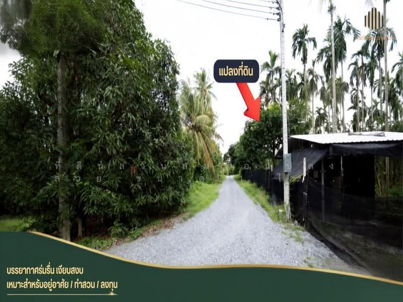 Great Price!! Beautiful Pomelo Orchard Land for Sale Beautiful land, Nakhon Pathom, Bang Toei, Sam Phran, Nakhon Pathom, , 3,188 sqm, Land For Sale, by ที่ดินสวนส้มโอแปลงสวย ขนาด 1 ไร่ 3 งาน 97 ตร.วา, 500549224 - DDproperty.com