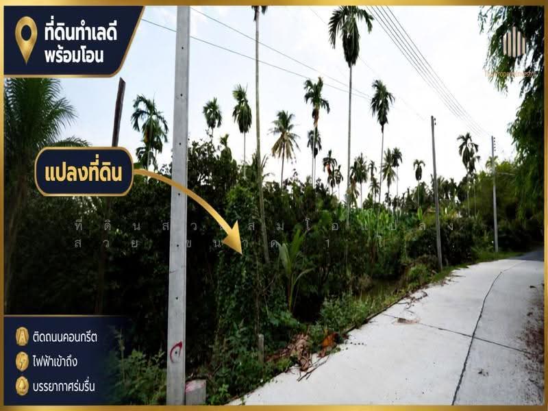 ที่ดินสวนส้มโอแปลงสวย, นครปฐม, บางเตย, สามพราน, นครปฐม, 3,188 ตร.ม., Land ขาย, โดย ที่ดินสวนส้มโอแปลงสวย ขนาด 1 ไร่ 3 งาน 97 ตร.วา, 500549224 - DDproperty.com