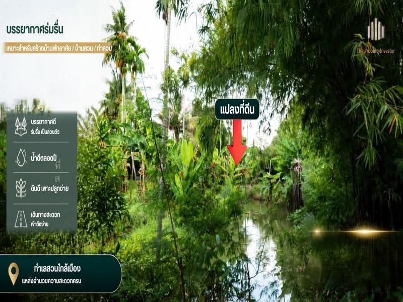 Great Price!! Beautiful Pomelo Orchard Land for Sale Beautiful land, Nakhon Pathom, Bang Toei, Sam Phran, Nakhon Pathom, , 3,188 sqm, Land For Sale, by ที่ดินสวนส้มโอแปลงสวย ขนาด 1 ไร่ 3 งาน 97 ตร.วา, 500549224 - DDproperty.com