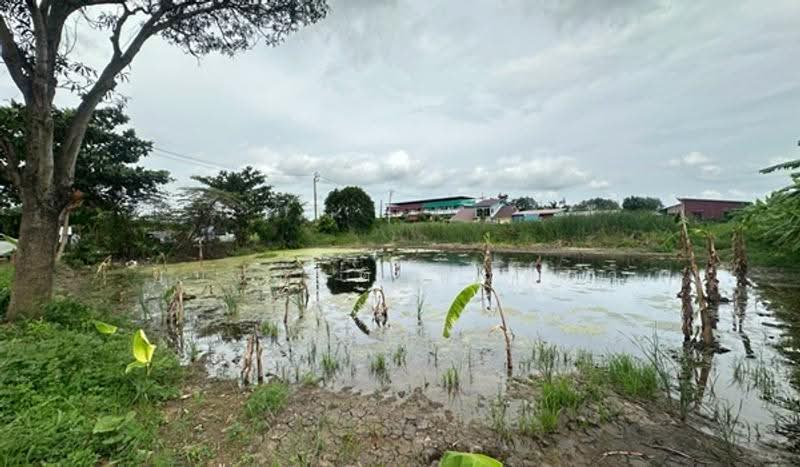 ซอยสุวินวงศ์ 36, Bangkok, Saen Sab, Min Buri, Bangkok, , 820 sqm, Land For Sale, by ชนะชาติ นนท์ตา, 500549243 - DDproperty.com