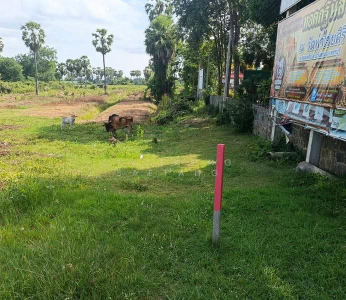 Land 5-1-20 rai, opposite Robinson Phetchaburi, Samorphlu, Ban Lat, Phetchaburi, Phetchaburi, Samophlu, Ban Lat, Phetchaburi, , 8,480 sqm, Land For Sale, by Sirithong Saetang, 500549247 - DDproperty.com