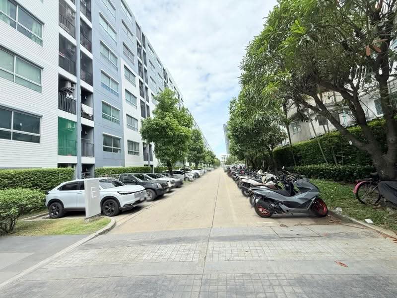 Dcondo Rattanathibet, Nonthaburi, 115 Rattanathibet Road, Sai Ma, Muang Nonthaburi, Nonthaburi, 1 Bedroom, 29 sqm, Condo For Sale, by The Best Property ป๋อมแป๋ม, 500549283 - DDproperty.com