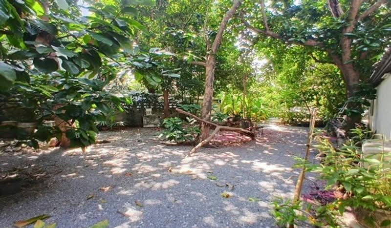 ซอยลาดพร้าว 12, Bangkok, Jom Phon, Chatuchak, Bangkok, , 652 sqm, Land For Sale, by ชนะชาติ นนท์ตา, 500549290 - DDproperty.com