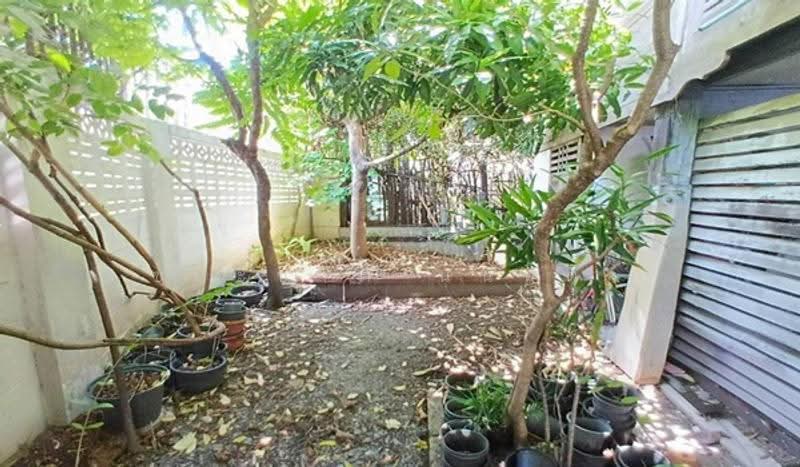 ซอยลาดพร้าว 12, Bangkok, Jom Phon, Chatuchak, Bangkok, , 652 sqm, Land For Sale, by ชนะชาติ นนท์ตา, 500549290 - DDproperty.com