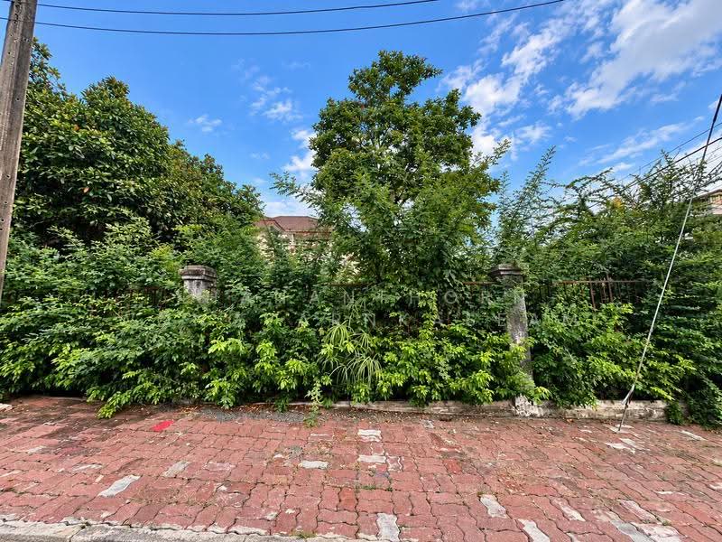 Ladawan Srinakarin, Samut Prakan, Srinakarin Road, Bang Kaeo, Bang Plee, Samut Prakan, 4 Bedrooms, 300 sqm, Single Detached House For Sale, by Thananthorn Wongvarnkaseam, 500549336 - DDproperty.com
