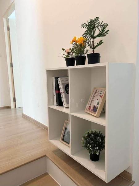 Indy 2 Bangna-Ramkhamhaeng 2, Bangkok, Soi Ramkhamhaeng 2, Dok Mai, Prawet, Bangkok, 3 Bedrooms, 122 sqm, Townhouse For Rent, by ปริญญ์ จิรกุลกิตติ์, 500549369 - DDproperty.com