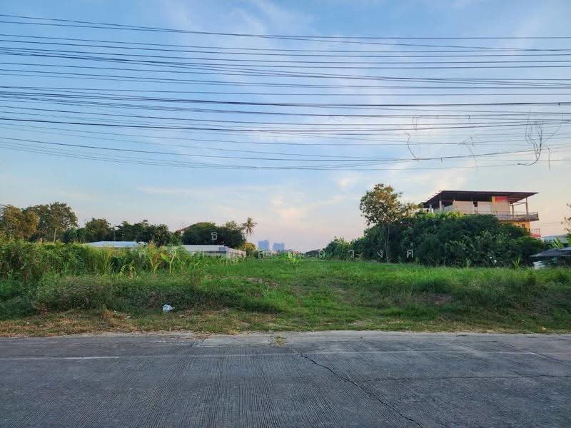 ที่ดิน ซอยโยธาธิการ นนทบุรี 2023, Nonthaburi, Om Kret, Pak Kret, Nonthaburi, , 5,052 sqm, Land For Sale, by ธนณัฎฐ์ ศตายุสกุลวงศ์, 500549486 - DDproperty.com