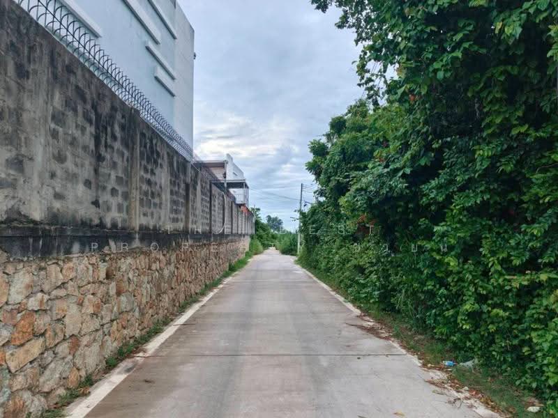 ที่ดินบางละมุง ชลบุรี, ชลบุรี, หนองปรือ, บางละมุง, ชลบุรี, 3,608 ตร.ม., Land ขาย, โดย The Best Property ซายน์, 500549502 - DDproperty.com