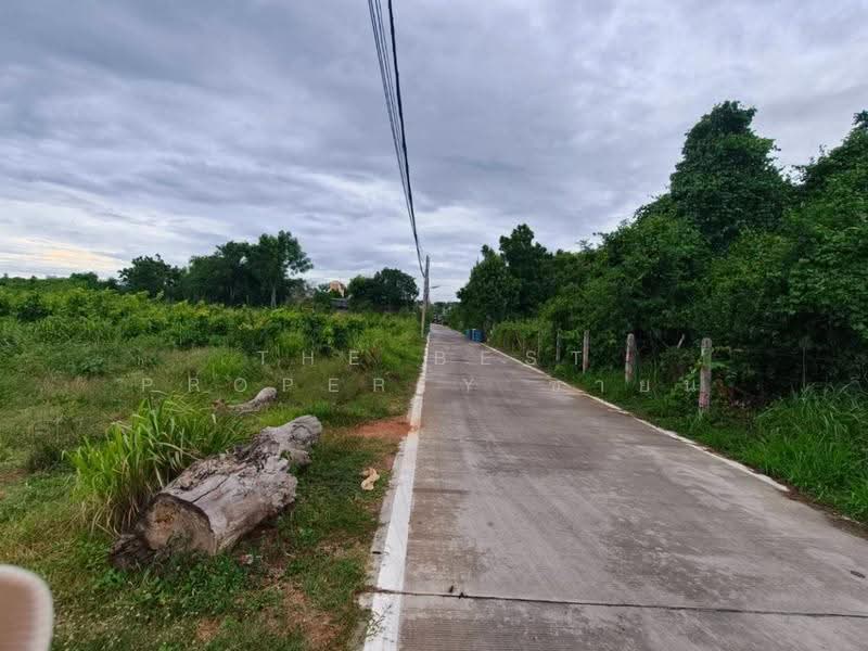 ที่ดินบางละมุง ชลบุรี, ชลบุรี, หนองปรือ, บางละมุง, ชลบุรี, 3,608 ตร.ม., Land ขาย, โดย The Best Property ซายน์, 500549502 - DDproperty.com
