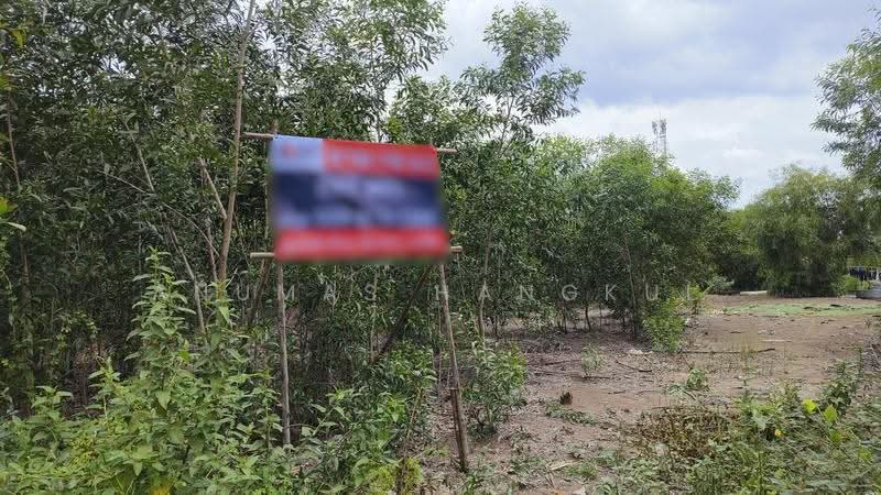 ขายด่วน ที่ดินราคาต่ำกว่าราคาประเมินเกือบ 50%, Pathum Thani, Khlong Sam, Khlong Luang, Pathum Thani, , 2,348 sqm, Land For Sale, by Anumas Hangkul, 500549553 - DDproperty.com