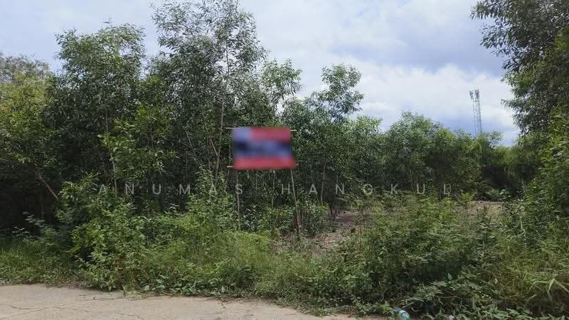 ขายด่วน ที่ดินราคาต่ำกว่าราคาประเมินเกือบ 50%, Pathum Thani, Khlong Sam, Khlong Luang, Pathum Thani, , 2,348 sqm, Land For Sale, by Anumas Hangkul, 500549553 - DDproperty.com