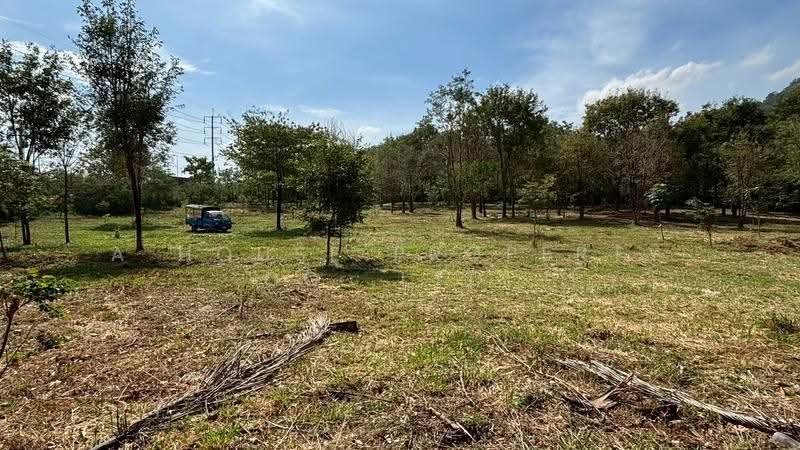 Prime land in Bang Phra, adjacent to the Bang Saen motorway, Chon Buri (Pattaya), Bang Phra, Si Racha, Chon Buri (Pattaya), , 16,000 sqm, Land For Sale, by A House Property Co.,Ltd., 500549577 - DDproperty.com