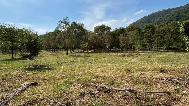Prime land in Bang Phra, adjacent to the Bang Saen motorway, Chon Buri (Pattaya), Bang Phra, Si Racha, Chon Buri (Pattaya), , 16,000 sqm, Land For Sale, by A House Property Co.,Ltd., 500549577 - DDproperty.com