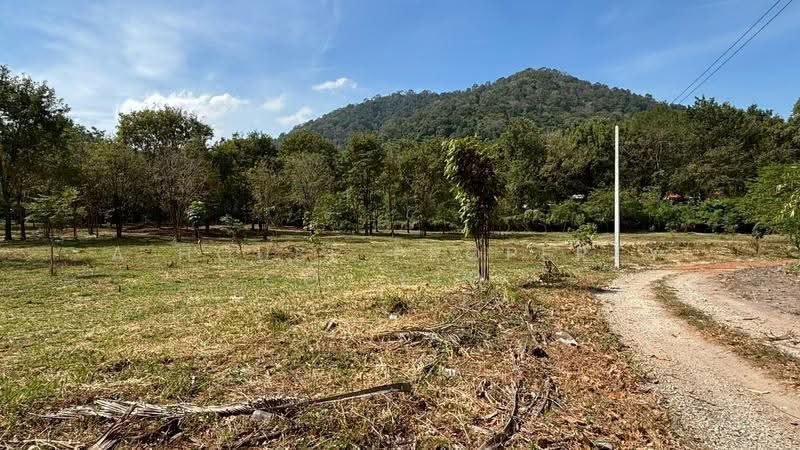 Prime land in Bang Phra, adjacent to the Bang Saen motorway, Chon Buri (Pattaya), Bang Phra, Si Racha, Chon Buri (Pattaya), , 16,000 sqm, Land For Sale, by A House Property Co.,Ltd., 500549577 - DDproperty.com