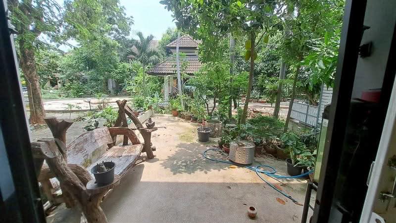 มาลีวัลย์ ซอยรังสิต-นครนายก27, ปทุมธานี, ประชาธิปัตย์, ธัญบุรี, ปทุมธานี, 150 ตร.ม., ทาวน์เฮ้าส์ ขาย, โดย คุณ ชยุฒ เมตตาไพจิตร (ปั๊ก), 500549600 - DDproperty.com