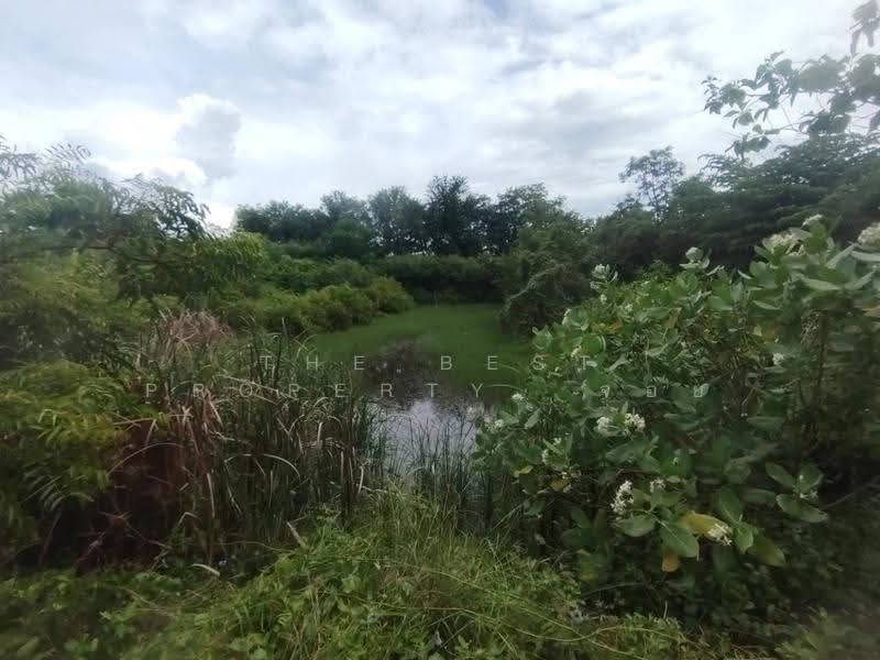 ที่ดินดอนตูม นครปฐม, Nakhon Pathom, Huai Duan, Don Tum, Nakhon Pathom, , 14,693 sqm, Land For Sale, by The Best Property จอย, 500549616 - DDproperty.com