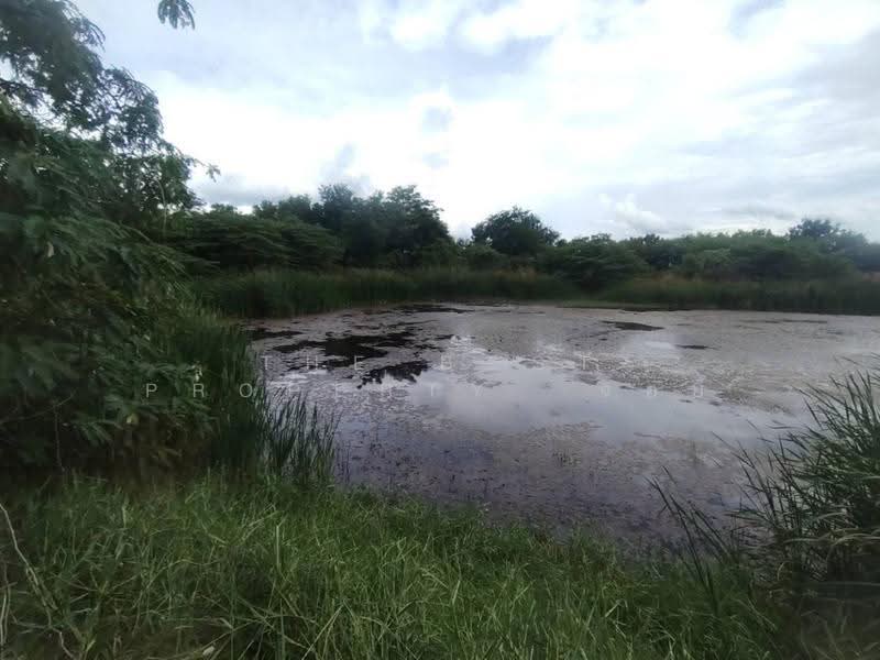 ที่ดินดอนตูม นครปฐม, Nakhon Pathom, Huai Duan, Don Tum, Nakhon Pathom, , 14,693 sqm, Land For Sale, by The Best Property จอย, 500549616 - DDproperty.com