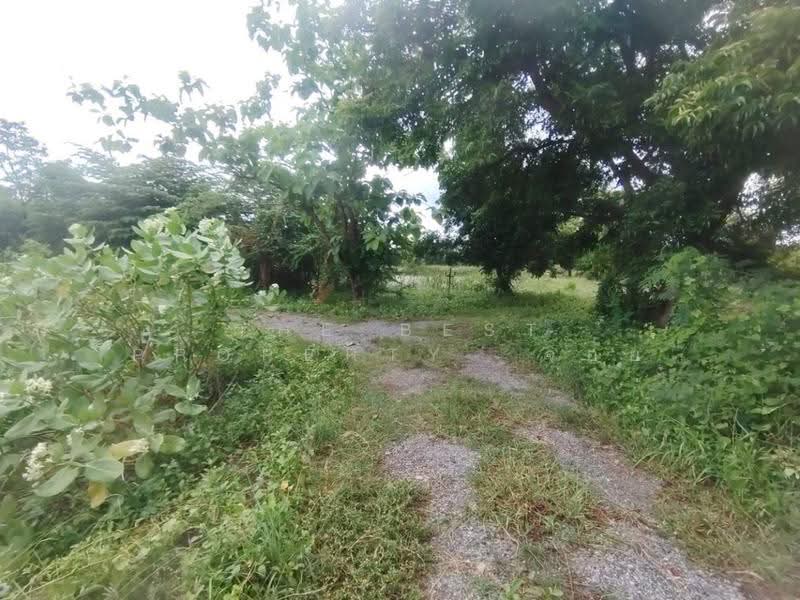 ที่ดินดอนตูม นครปฐม, Nakhon Pathom, Huai Duan, Don Tum, Nakhon Pathom, , 14,693 sqm, Land For Sale, by The Best Property จอย, 500549616 - DDproperty.com