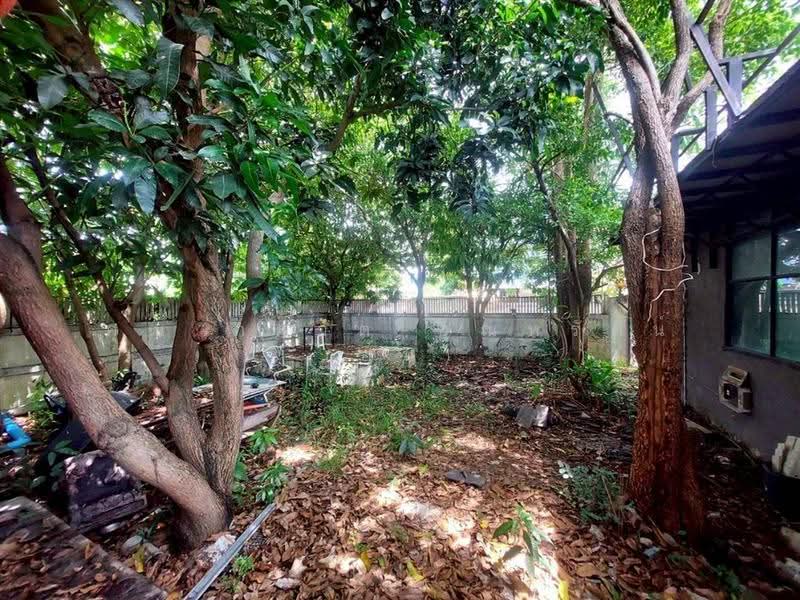 ที่ดิน + บ้านเดี่ยว 201 ตร.ว. ซอยสุขุมวิท115 (ซอยอภิชาติ9), สมุทรปราการ, ถนนสุขุมวิท, สำโรงเหนือ, เมืองสมุทรปราการ, สมุทรปราการ, 804 ตร.ม., ที่ดิน ขาย, โดย คุณ ภควัต อุณหรัตน์ (อ้น), 500549625 - DDproperty.com