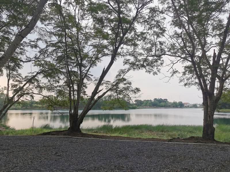 ขายถูกด่วนๆ ที่ดินในโครงการคันทรี่การ์เด้น ราคาประเมิน, Pathum Thani, Khlong Sam, Khlong Luang, Pathum Thani, , 6,036 sqm, Land For Sale, by Anumas Hangkul, 500549760 - DDproperty.com