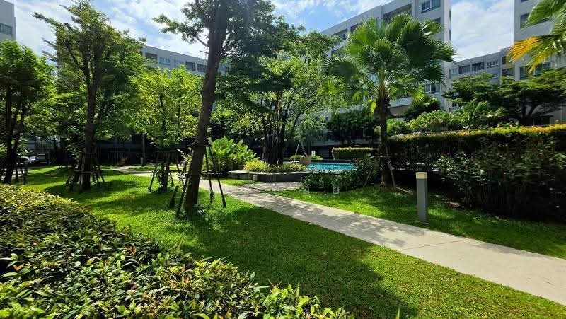 Elio Del Ray, Bangkok, 95 Sukhumvit 64 Road, Bang Chak, Phra Khanong, Bangkok, 2 Bedrooms, 45 sqm, Condo For Sale, by คุณปอย, 500549777 - DDproperty.com