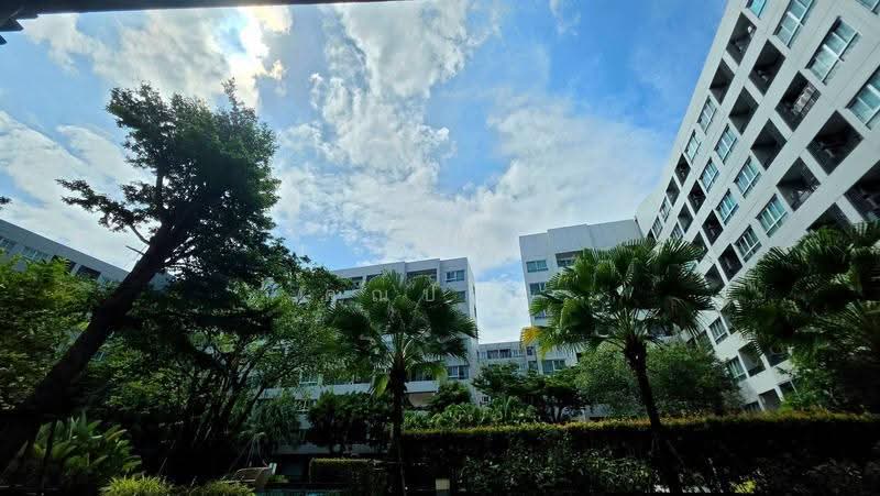 Elio Del Ray, Bangkok, 95 Sukhumvit 64 Road, Bang Chak, Phra Khanong, Bangkok, 2 Bedrooms, 45 sqm, Condo For Sale, by คุณปอย, 500549777 - DDproperty.com