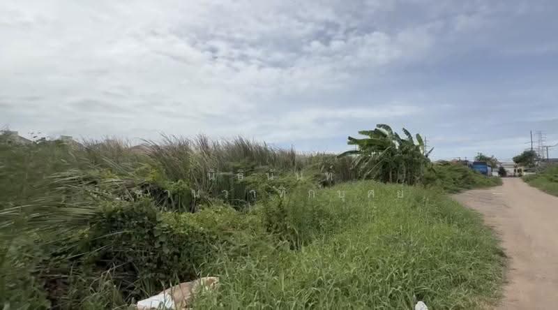 land for sale, Pathum Thani, คลองหลวง 27, Khlong Nung, Khlong Luang, Pathum Thani, , 23,752 sqm, Land For Sale, by Nithinan Chanwatikabud, 500549780 - DDproperty.com