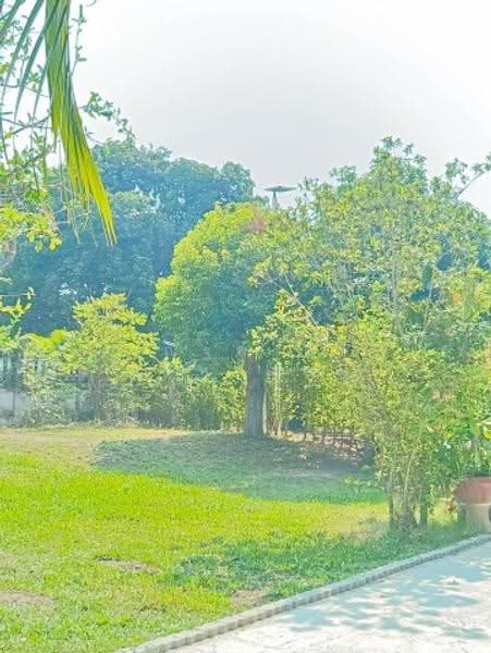 ไม่พบโครงการ, Chon Buri (Pattaya), สุขุมวิท, Bang Phra, Si Racha, Chon Buri (Pattaya), 3 Bedrooms, 300 sqm, Single Detached House For Rent, by ณัฐพงศ์ สุนทรอรุณ, 500549820 - DDproperty.com