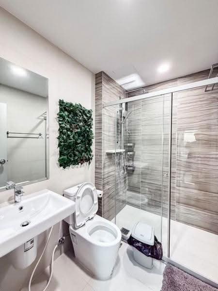Supalai Veranda Ramkhamhaeng, Bangkok, Ramkhamhaeng Road, Hua Mak, Bang Kapi, Bangkok, 1 Bedroom, 41 sqm, Condo For Rent, by Bowonrat Yodyoy, 500549891 - DDproperty.com