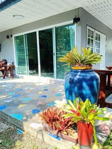 ไม่พบโครงการ, Chon Buri (Pattaya), สุขุมวิท, Bang Phra, Si Racha, Chon Buri (Pattaya), 3 Bedrooms, 300 sqm, Single Detached House For Rent, by ณัฐพงศ์ สุนทรอรุณ, 500549996 - DDproperty.com