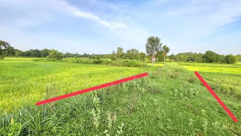 ที่ดินบรบือ มหาสารคาม, Maha Sarakham, Nong Ko, Borabu, Maha Sarakham, , 19,844 sqm, Land For Sale, by The Best Property ทองใบ, 500550026 - DDproperty.com