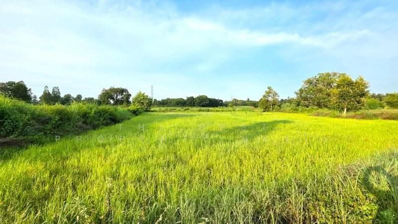 ที่ดินบรบือ มหาสารคาม, Maha Sarakham, Nong Ko, Borabu, Maha Sarakham, , 19,844 sqm, Land For Sale, by The Best Property ทองใบ, 500550026 - DDproperty.com