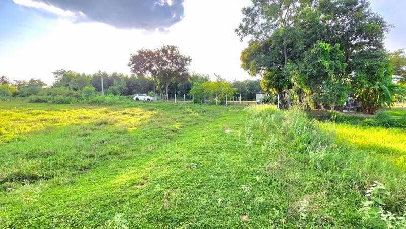 ที่ดินบรบือ มหาสารคาม, Maha Sarakham, Nong Ko, Borabu, Maha Sarakham, , 19,844 sqm, Land For Sale, by The Best Property ทองใบ, 500550026 - DDproperty.com