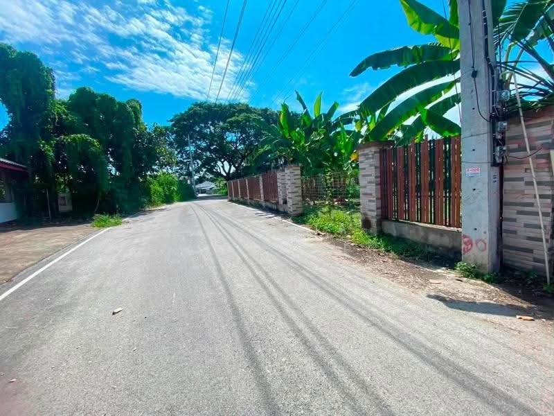 Land for sale !, near sarasas witaedlanna school 600 m., Chiang Mai, Mae Hia, Muang Chiang Mai, Chiang Mai, , 502 sqm, Land For Sale, by Pharita Chaimanee, 500550049 - DDproperty.com