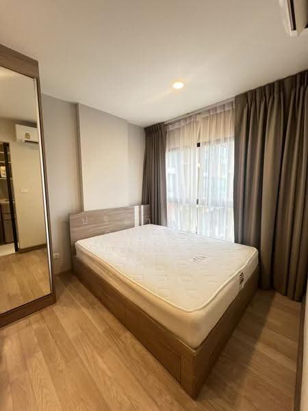 Plum Condo Sukhumvit 97/1, Bangkok, 204 Soi Sukhumvit 97/1, Bang Chak, Phra Khanong, Bangkok, Studio, 23 sqm, Condo For Rent, by ปรียาภรณ์ ภู่เจริญ, 500550096 - DDproperty.com