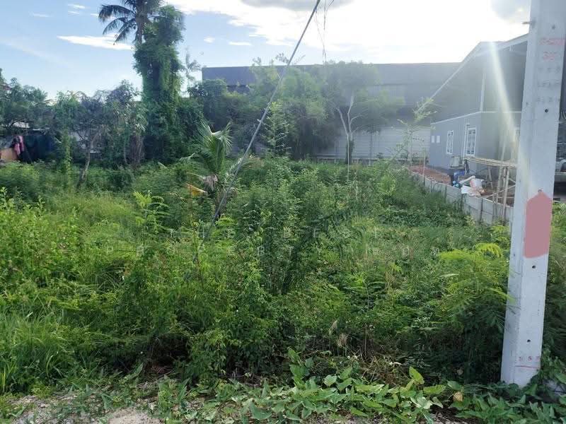 ที่ดินดำเนินสะดวก ราชบุรี, Ratchaburi, Khunphithak, Damnoen Saduak, Ratchaburi, , 800 sqm, Land For Sale, by The Best Property แคท, 500550108 - DDproperty.com
