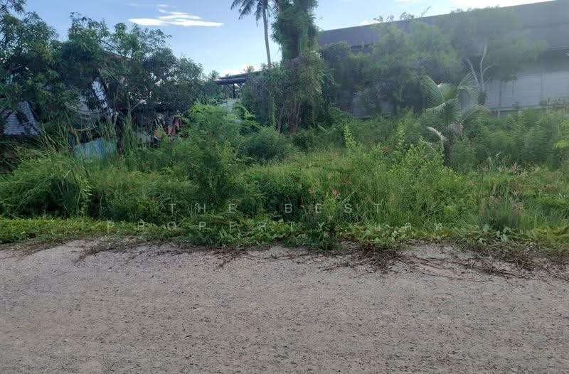 ที่ดินดำเนินสะดวก ราชบุรี, ราชบุรี, ขุนพิทักษ์, ดำเนินสะดวก, ราชบุรี, 800 ตร.ม., ที่ดิน ขาย, โดย The Best Property แคท, 500550108 - DDproperty.com