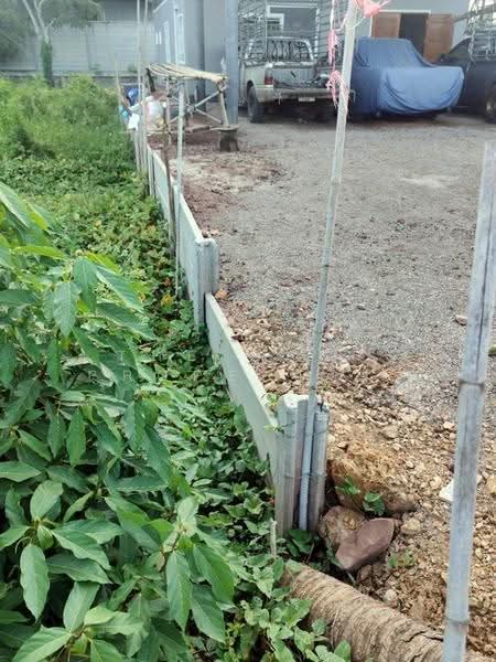 ที่ดินดำเนินสะดวก ราชบุรี, Ratchaburi, Khunphithak, Damnoen Saduak, Ratchaburi, , 800 sqm, Land For Sale, by The Best Property แคท, 500550108 - DDproperty.com